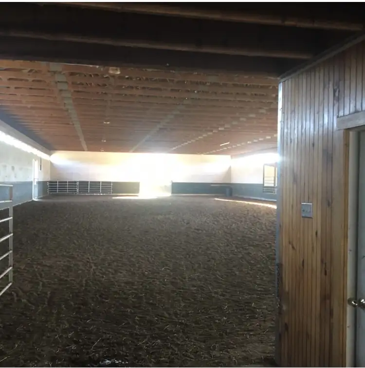 Inside the indoor riding arena with a groomed dirt floor and white walls