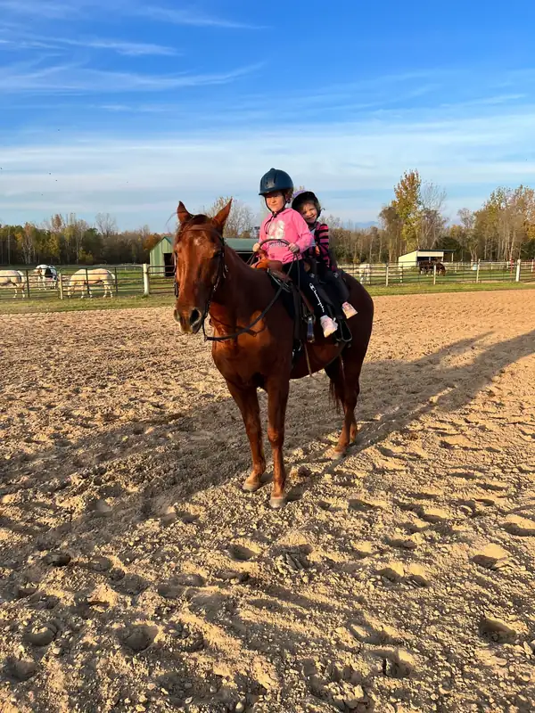 Two young riders sharing a chestnut horse in the outdoor arena