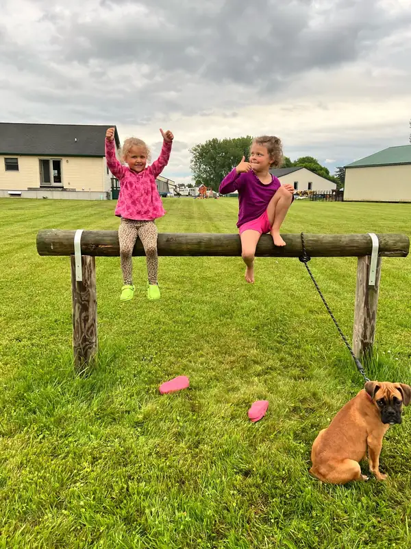 Two children on a wooden rail in the grass with a boxer dog nearby