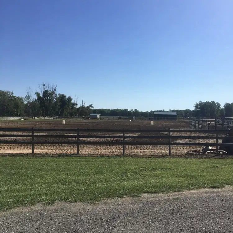 The fenced outdoor riding arena on a sunny day