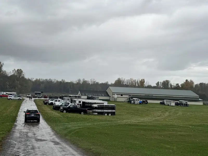 Horse trailers and trucks parked along the drive by the barns on an overcast day