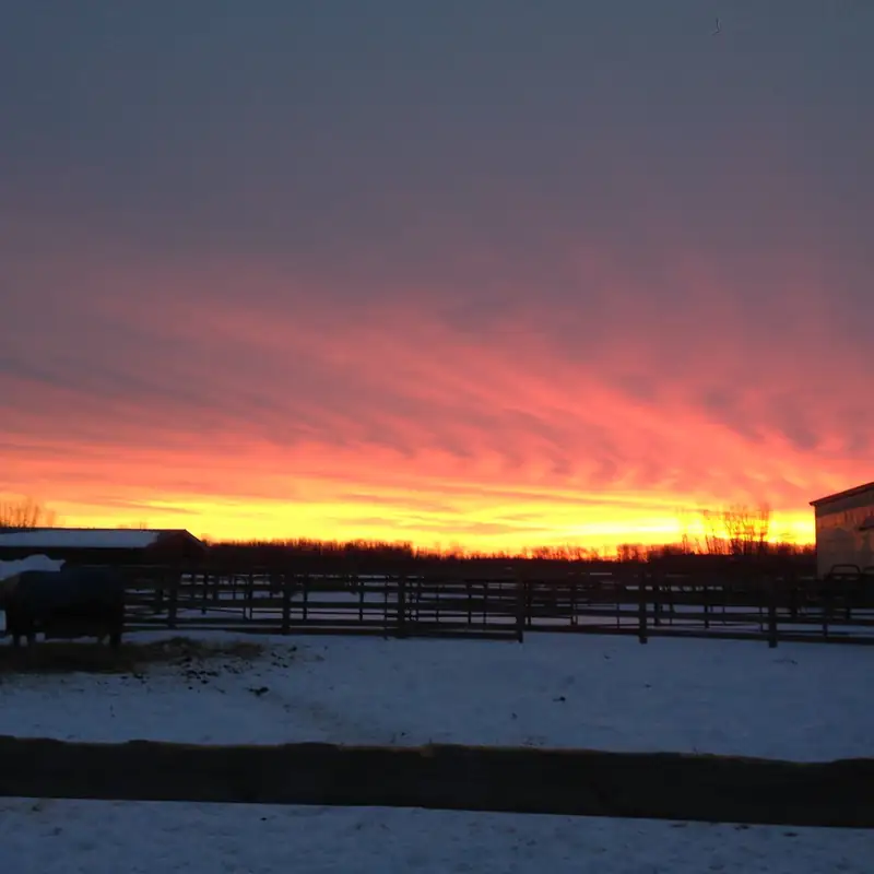 A red and orange winter sunset over snowy fenced paddocks
